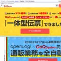 goqsystem.com
