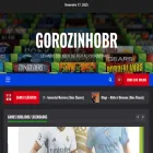 gorozinhobr.com.br