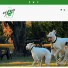 greendogsunleashed.org