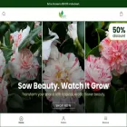 greenerynursery.co.in