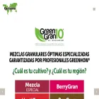 greenhow.com.mx