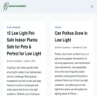 greenygardener.com