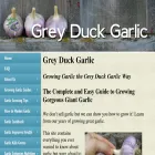 greyduckgarlic.com