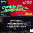 greyhoundbrasil.com
