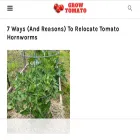 growtomato.com