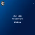 grupocobos.com.mx