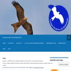 gruppoinsubrico.com