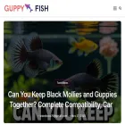 guppys.life
