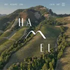 hamelfamilywines.com