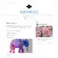 hanabishius.tumblr.com