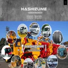 hashizume-ltd.com