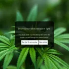 hashtag-cbd.com
