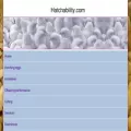 hatchability.com