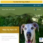 havedanewilltravel.com