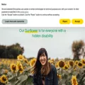 hdsunflower.com