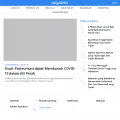 hellosehat.com