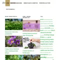 herbal-supplement-resource.com