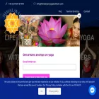 himalayanyogainstitute.com