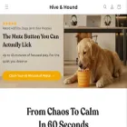 hiveandhoundpets.com