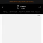 hkginger.com