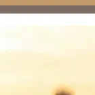 hnear.com