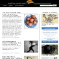 hoaxes.org