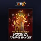 hoki22vip.pro
