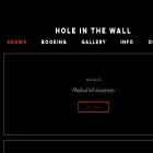holeinthewallaustin.com