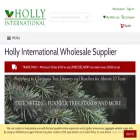 hollyinternational.co.uk