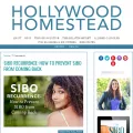 hollywoodhomestead.com
