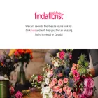 homesteadflorist.com