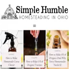 homesteadinginohio.com