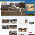 horse.ir