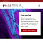 hubermanlab.stanford.edu