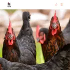 huevospampadelsenor.pe