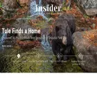 humboldtinsider.com
