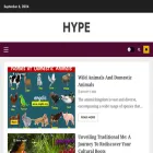 hype.backlinkgurupro.com