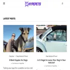 hypepets.com