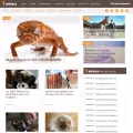 i-animaux.com