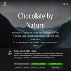icamcioccolato.com
