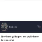 ideesdenoms.com