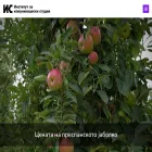 iks.edu.mk