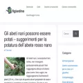 ilgiardino.wiki