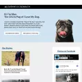 ilovemydogsomuch.tv