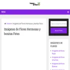 imagenes-de-flores.com