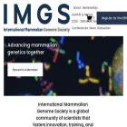 imgs.org