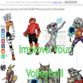improveyourvolley.com