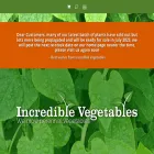 incrediblevegetables.co.uk