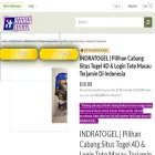 indratogel-1st.org