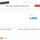 info.asalesguyconsulting.com